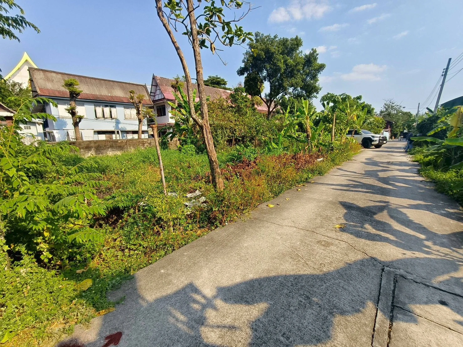 ขายถูกที่ดินใกล้วัดบัว 50 ตรว  ซอยสำเร็จพัฒนา 17 ปลายบาง บางกรวย นนทบุรี