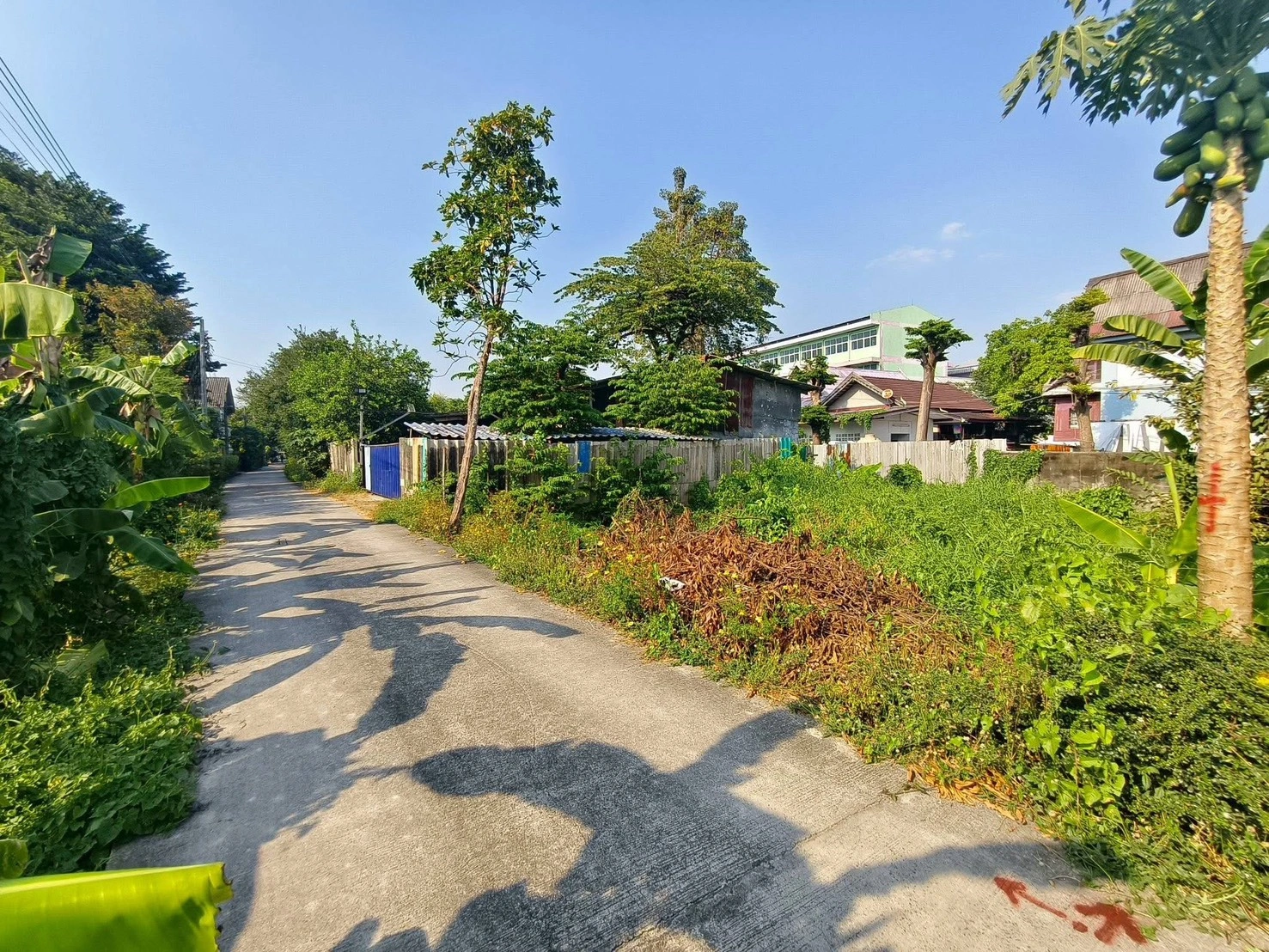 ขายถูกที่ดินใกล้วัดบัว 50 ตรว  ซอยสำเร็จพัฒนา 17 ปลายบาง บางกรวย นนทบุรี