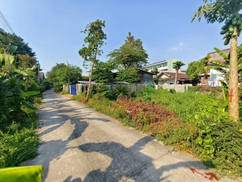 ขายถูกที่ดินใกล้วัดบัว 50 ตรว  ซอยสำเร็จพัฒนา 17 ปลายบาง บางกรวย นนทบุรี