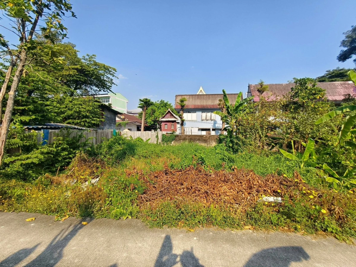 ขายถูกที่ดินใกล้วัดบัว 50 ตรว  ซอยสำเร็จพัฒนา 17 ปลายบาง บางกรวย นนทบุรี