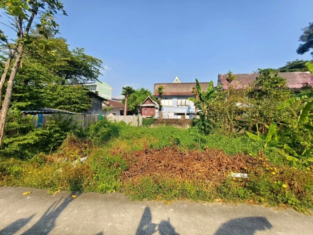 ขายถูกที่ดินใกล้วัดบัว 50 ตรว  ซอยสำเร็จพัฒนา 17 ปลายบาง บางกรวย นนทบุรี