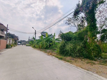 ขายด่วนที่ดินใกล้โรบินสัน ศรีสมาน 200 ตรว ติดถนน3ด้าน ซ.ศรีสมาน 5 บ้านใหม่ ปากเกร็ด