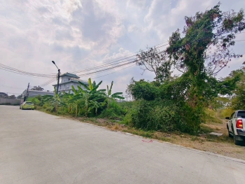 ขายด่วนที่ดินใกล้โรบินสัน ศรีสมาน 200 ตรว ติดถนน3ด้าน ซ.ศรีสมาน 5 บ้านใหม่ ปากเกร็ด