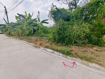 ขายด่วนที่ดินใกล้โรบินสัน ศรีสมาน 200 ตรว ติดถนน3ด้าน ซ.ศรีสมาน 5 บ้านใหม่ ปากเกร็ด