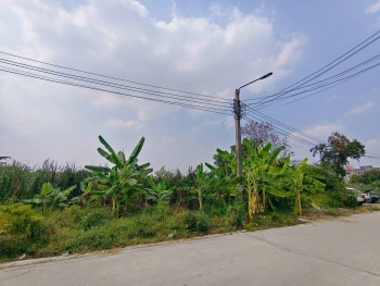 ขายด่วนที่ดินใกล้โรบินสัน ศรีสมาน 200 ตรว ติดถนน3ด้าน ซ.ศรีสมาน 5 บ้านใหม่ ปากเกร็ด