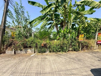 ขายด่วนที่ดินใกล้แฟชั่นไอร์แลนด์ 44 ตรว แปลงมุม ถมแล้ว ซ.พระยาสุเรนทร์ 25 มีนบุรี กทม.