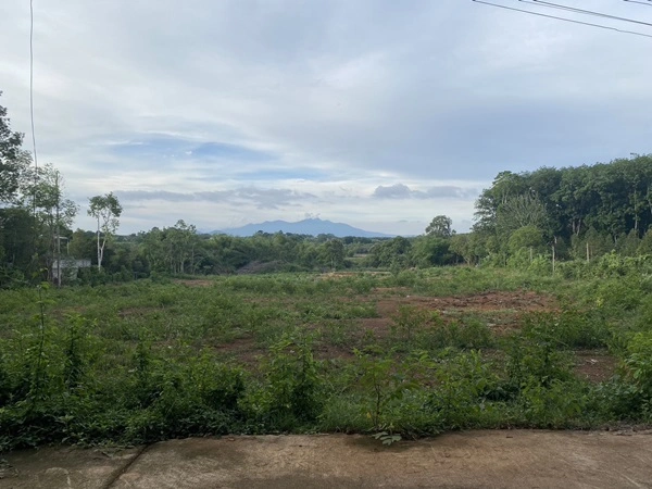 ขาย!!! ที่ดินสวย ทำเลศักยภาพ ใจกลางเมือง..หลังค่ายตากสิน..เนื้อที่ 14 ไร่เศษ โทร 092-5635533