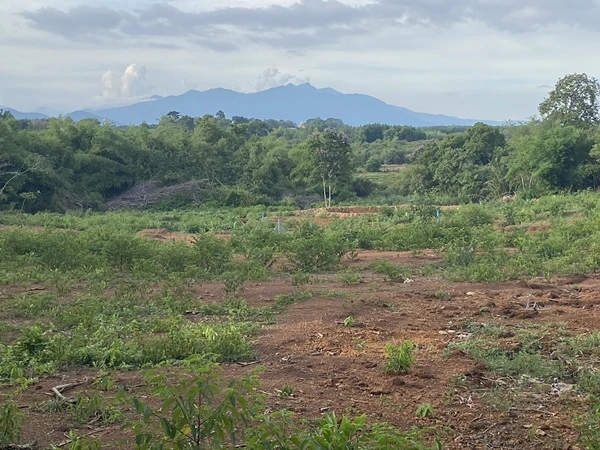 ขาย!!! ที่ดินสวย ทำเลศักยภาพ ใจกลางเมือง..หลังค่ายตากสิน..เนื้อที่ 14 ไร่เศษ โทร 092-5635533