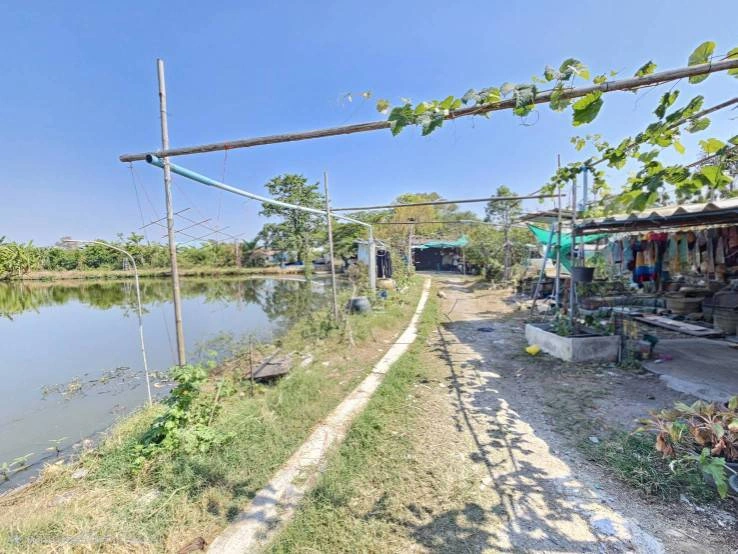 ขายด่วนที่ดิน แปลงใหญ่  บางเสาธง   สมุทรปราการ ติดถนนสาธารณะ แบ่งขายได้