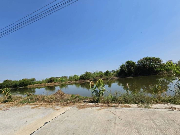 ขายด่วนที่ดิน แปลงใหญ่  บางเสาธง   สมุทรปราการ ติดถนนสาธารณะ แบ่งขายได้