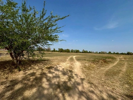 ขายที่ดินเปล่า พื้นที่ 23-3-19 ไร่ ถนนเจนจบทิศ ( ทางหลวง 2440 เมืองพล-หนองสองห้อง) ตำบลหนองเม็ก อำเภอหนองสองห้อง จังหวัดขอนแก่น ราคาขาย 35,696,256 บาท