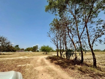 ขายที่ดินเปล่า พื้นที่ 23-3-19 ไร่ ถนนเจนจบทิศ ( ทางหลวง 2440 เมืองพล-หนองสองห้อง) ตำบลหนองเม็ก อำเภอหนองสองห้อง จังหวัดขอนแก่น ราคาขาย 35,696,256 บาท