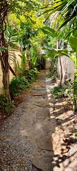 บ้านกรองทอง ศรีนครินทร์ บ้านเดี่ยว 2 ชั้น หลังริม ซ.ศรีนครินทร์ 51 ถ.ศรีนครินทร์ แขวงหนองบอน เขตประเวศ กรุงเทพฯ ราคา 18,900,000 บาท