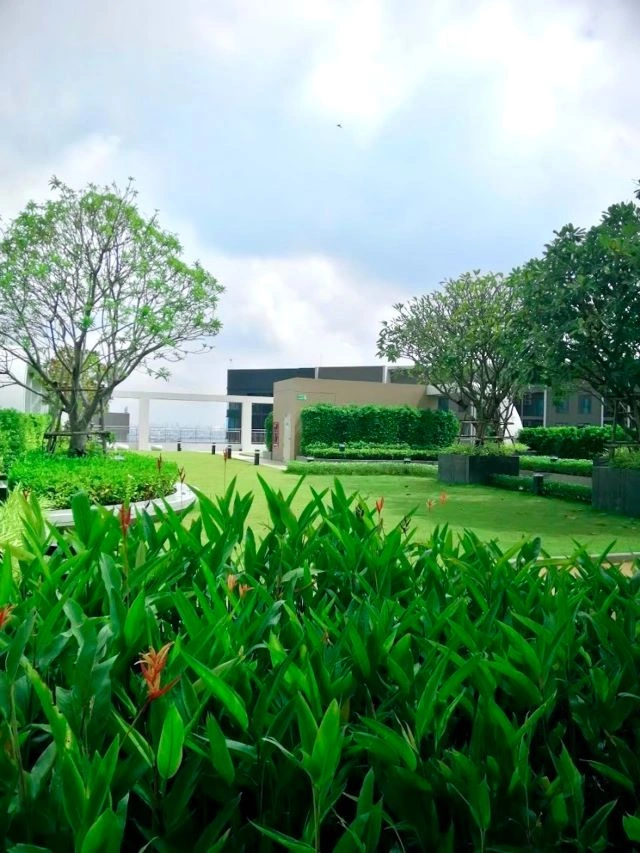 CM04399 ขาย คอนโด ศุภาลัย เวอเรนด้า สถานีภาษีเจริญ Supalai Veranda Phasi Charoen คอนโดมิเนียม ถนนเพชรเกษม