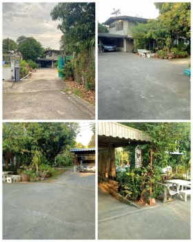 ขายที่ดิน เนื้อที่ 402 ตารางวา ซ. ติวานนท์48 แนวรถไฟฟ้าสายสีชมพู