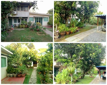 ขายที่ดิน เนื้อที่ 402 ตารางวา ซ. ติวานนท์48 แนวรถไฟฟ้าสายสีชมพู