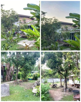 ขายที่ดิน เนื้อที่ 402 ตารางวา ซ. ติวานนท์48 แนวรถไฟฟ้าสายสีชมพู