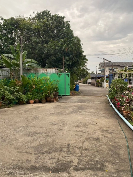 ขายที่ดิน เนื้อที่ 402 ตารางวา ซ. ติวานนท์48 แนวรถไฟฟ้าสายสีชมพู