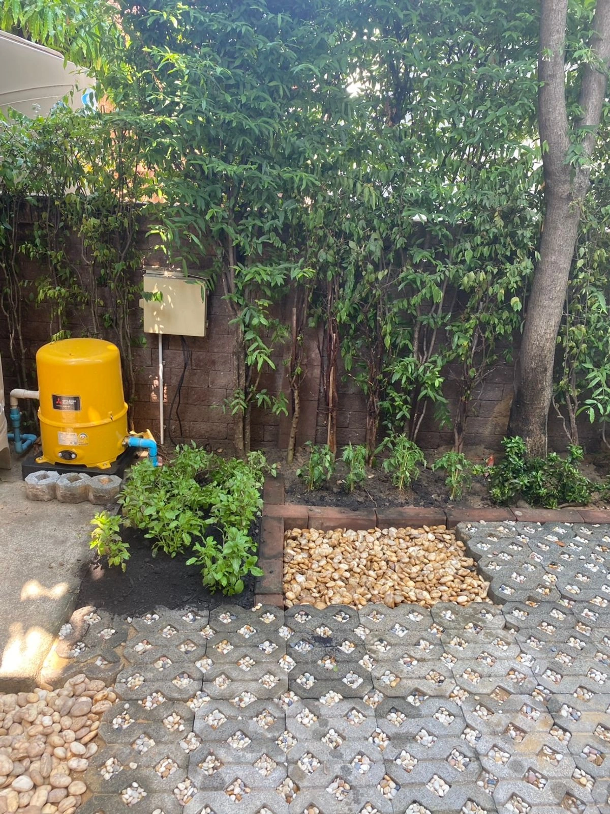 ขายบ้านสวย   คาซ่า แกรนด์ เอกมัย-รามอินทรา