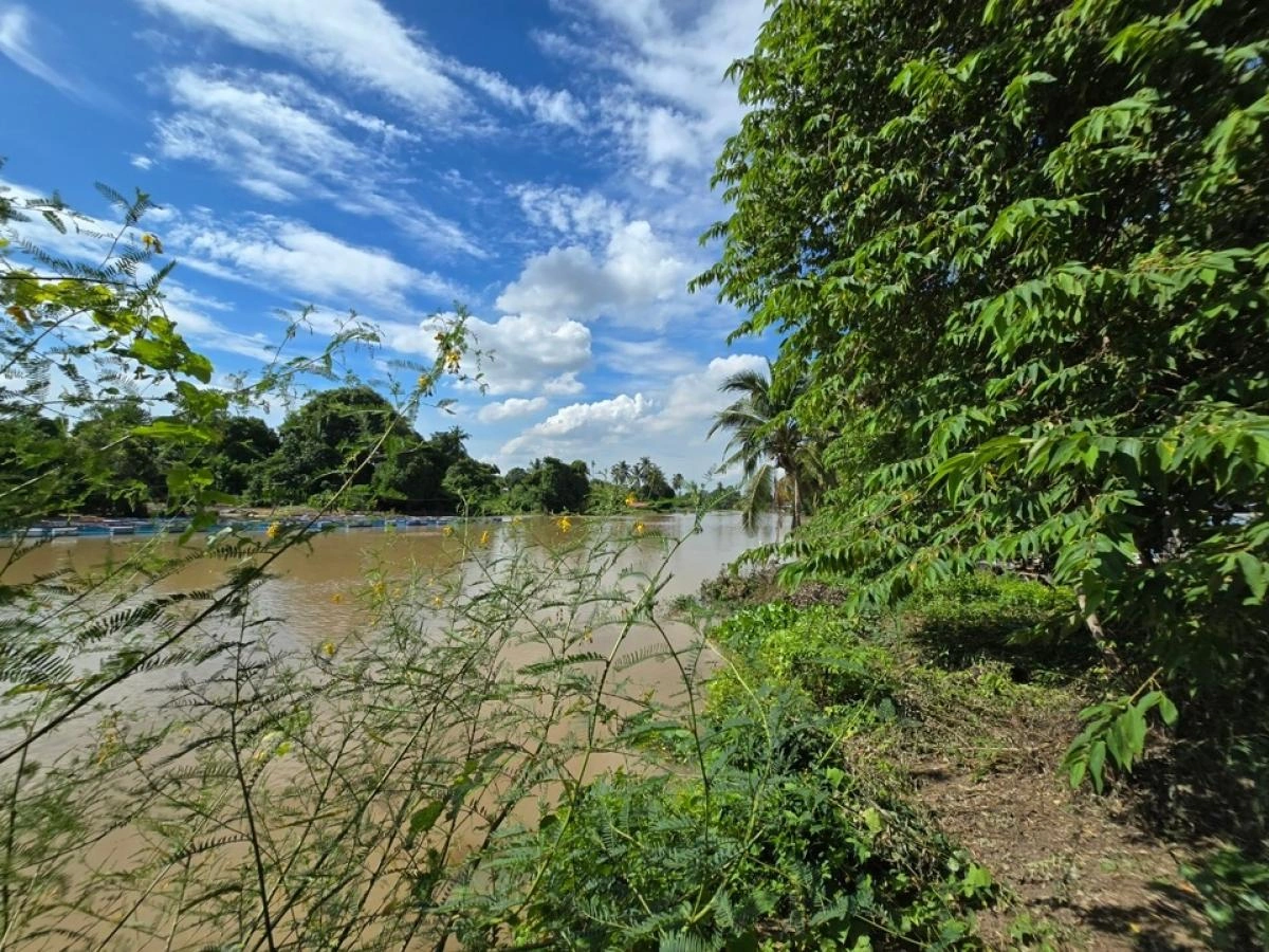 ขายที่ดินวิวสวย ติดแม่น้ำท่าจีน สุพรรณบุรี