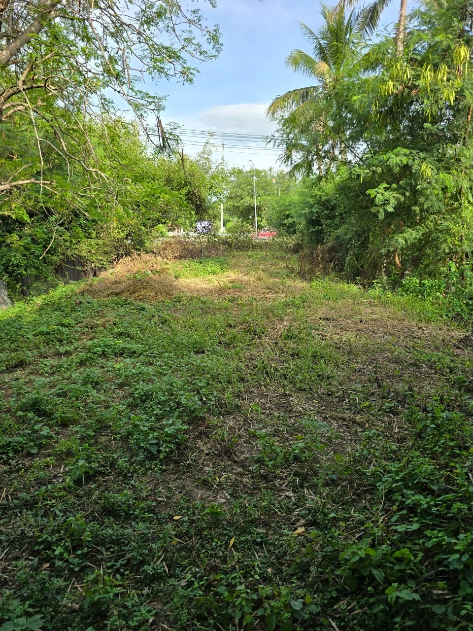 ขายที่ดินวิวสวย ติดแม่น้ำท่าจีน สุพรรณบุรี