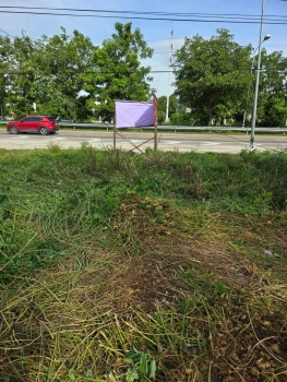 ขายที่ดินวิวสวย ติดแม่น้ำท่าจีน สุพรรณบุรี