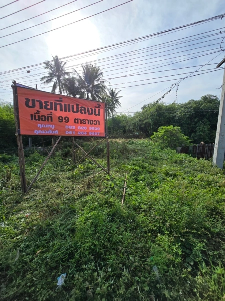 ขายที่ดินวิวสวย ติดแม่น้ำท่าจีน สุพรรณบุรี