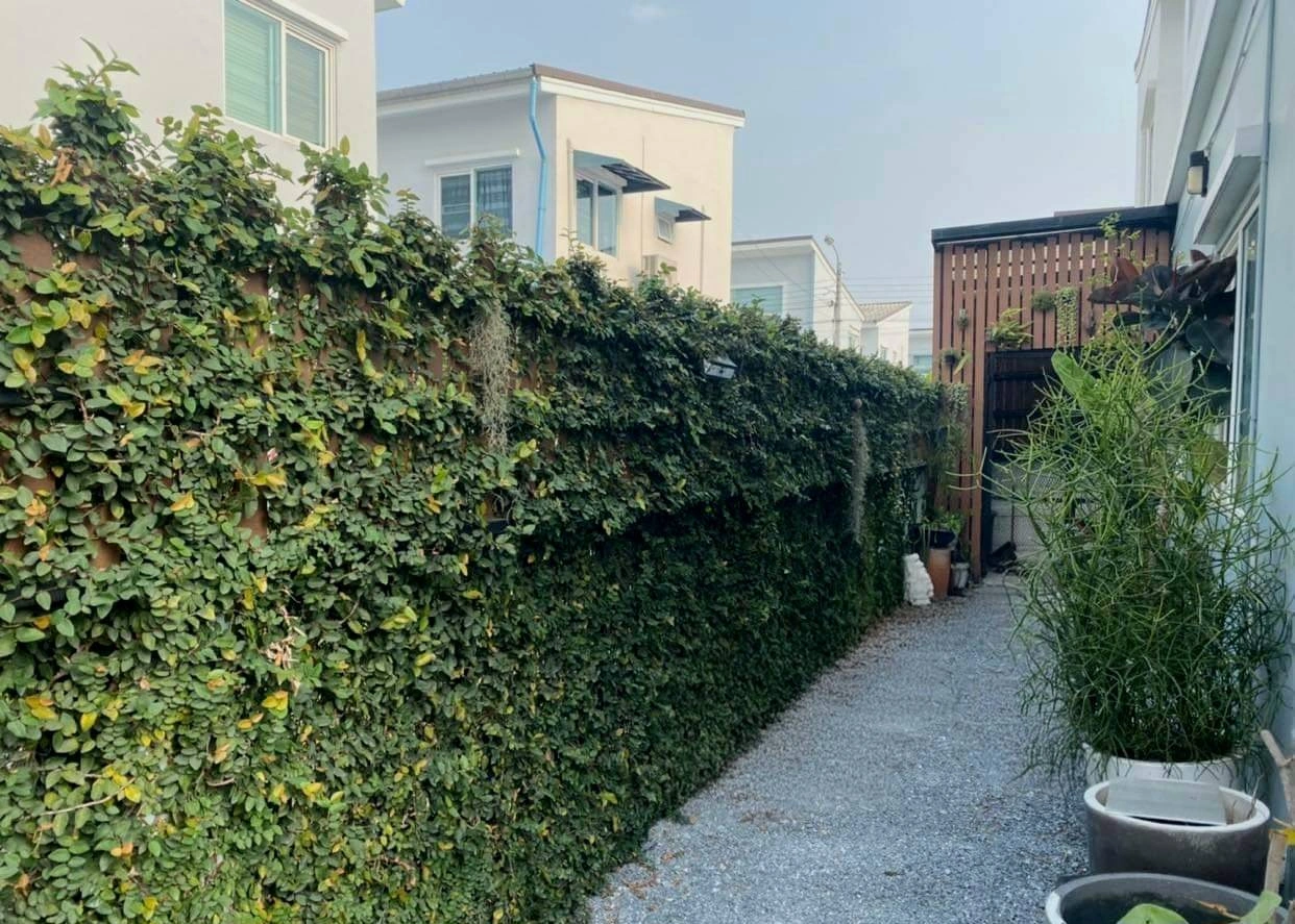 โครงการ กัสโต้ วงแหวน-พระราม5 แบรนด์ Q.House พร้อมเข้าอยู่ เนื้อที่ 25.2ตร.ว. พื้นที่ใช้สอย 110 ตร.ม. ฟังก์ชั่นจัดเต็ม 3 ห้องนอน 2 ห้องน้ำ จอดรถได้ 2 คัน บนทำเลศักยภาพ ใกล้วงเวียนพระราม5 ใกล้รถไฟฟ้าสายสีม่วง "สถานีบางพลู" และทางด่วน "ศรีรัช"