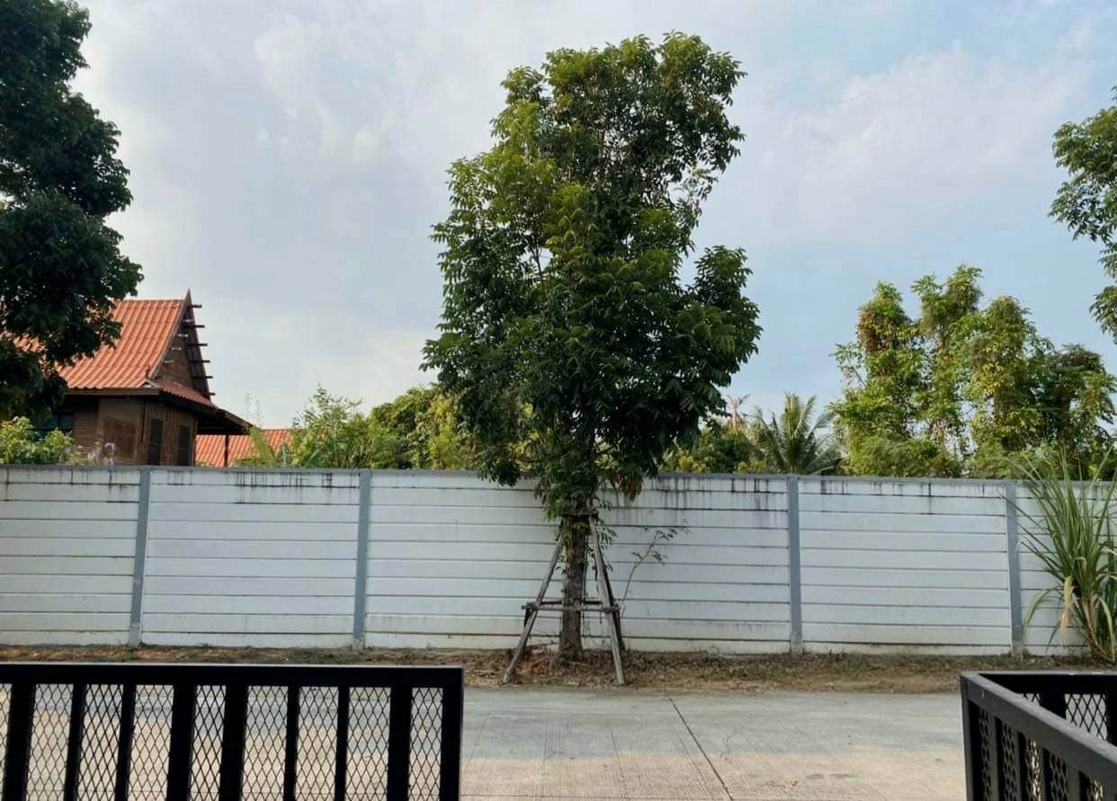 โครงการ กัสโต้ วงแหวน-พระราม5 แบรนด์ Q.House พร้อมเข้าอยู่ เนื้อที่ 25.2ตร.ว. พื้นที่ใช้สอย 110 ตร.ม. ฟังก์ชั่นจัดเต็ม 3 ห้องนอน 2 ห้องน้ำ จอดรถได้ 2 คัน บนทำเลศักยภาพ ใกล้วงเวียนพระราม5 ใกล้รถไฟฟ้าสายสีม่วง "สถานีบางพลู" และทางด่วน "ศรีรัช"