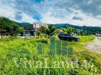 ที่ดินผืนใหญ่ ใจกลางป่าตอง LOCATION ที่ “ตลาดวิ่งเข้าหา”