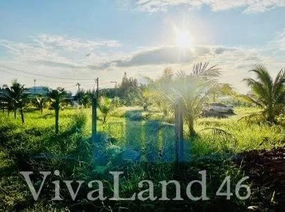 ที่ดินผืนใหญ่ ใจกลางป่าตอง LOCATION ที่ “ตลาดวิ่งเข้าหา”