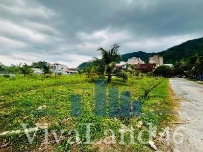 ที่ดินผืนใหญ่ ใจกลางป่าตอง LOCATION ที่ “ตลาดวิ่งเข้าหา”