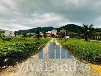 ที่ดินผืนใหญ่ ใจกลางป่าตอง LOCATION ที่ “ตลาดวิ่งเข้าหา”