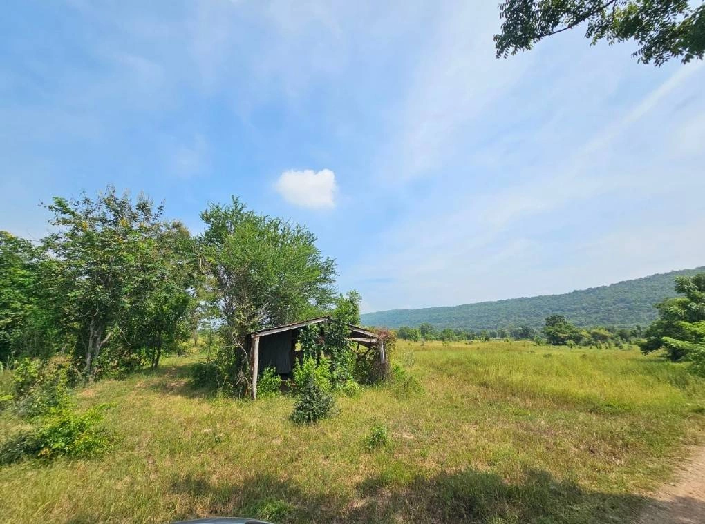 ขายที่ดิน 5แปลง ลำสนธิ จังหวัดลพบุรี ติดถนนสาธารณะ 3 ด้าน