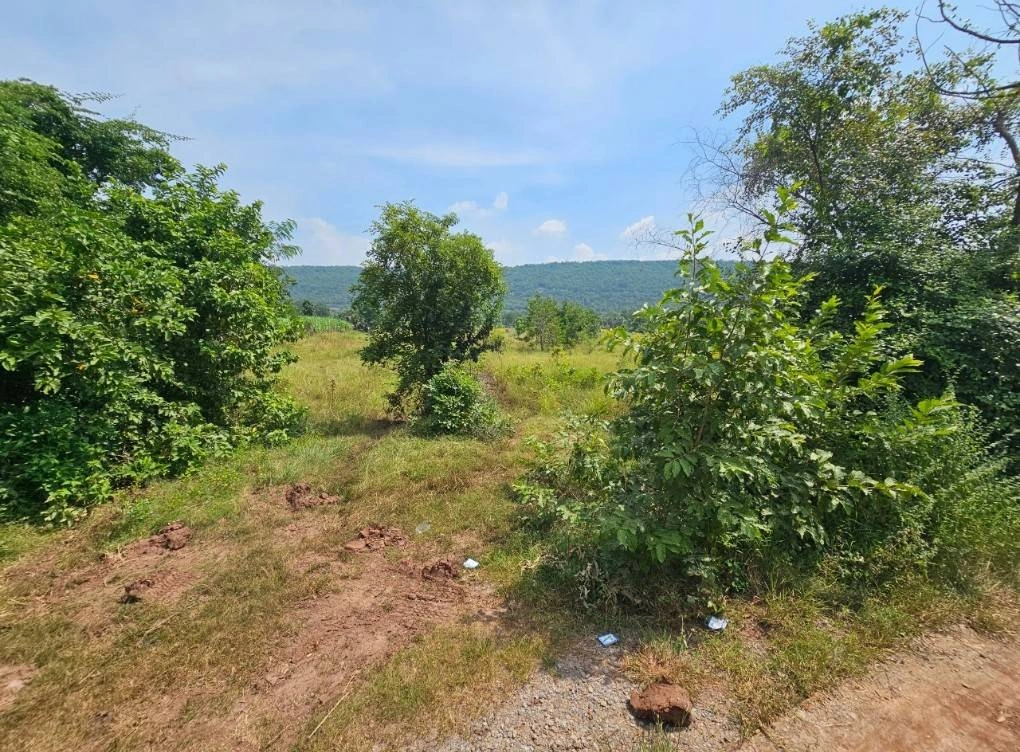 ขายที่ดิน 5แปลง ลำสนธิ จังหวัดลพบุรี ติดถนนสาธารณะ 3 ด้าน