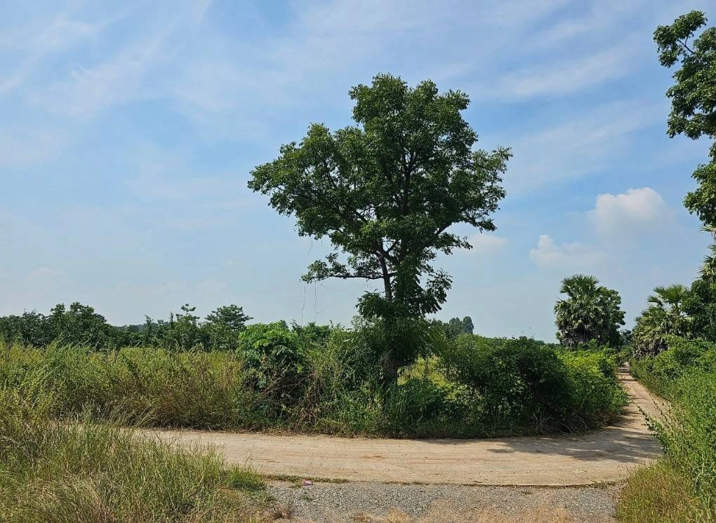 ขายที่ดิน 5แปลง ลำสนธิ จังหวัดลพบุรี ติดถนนสาธารณะ 3 ด้าน