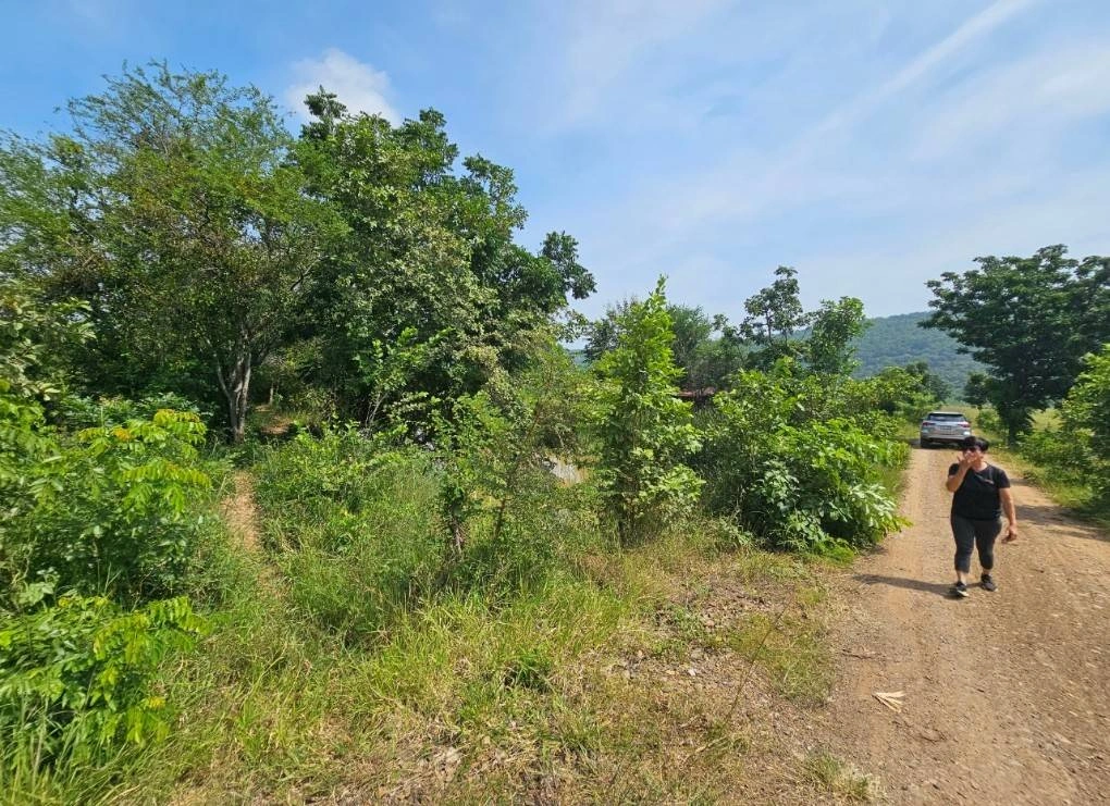 ขายที่ดิน 5แปลง ลำสนธิ จังหวัดลพบุรี ติดถนนสาธารณะ 3 ด้าน