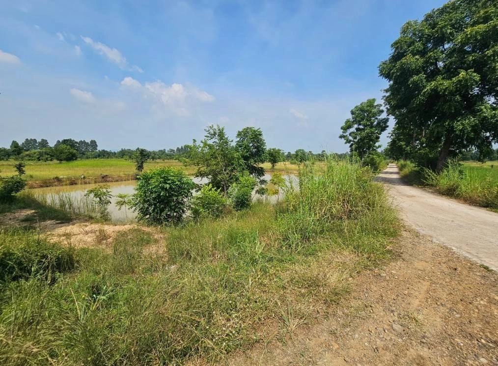 ขายที่ดิน 5แปลง ลำสนธิ จังหวัดลพบุรี ติดถนนสาธารณะ 3 ด้าน