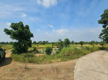 ขายที่ดิน 5แปลง ลำสนธิ จังหวัดลพบุรี ติดถนนสาธารณะ 3 ด้าน