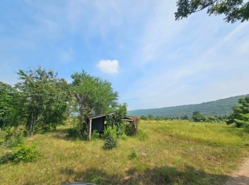 ขายที่ดิน 5แปลง ลำสนธิ จังหวัดลพบุรี ติดถนนสาธารณะ 3 ด้าน