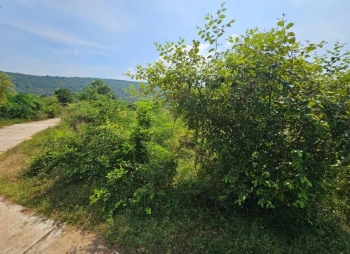 ขายที่ดิน 5แปลง ลำสนธิ จังหวัดลพบุรี ติดถนนสาธารณะ 3 ด้าน