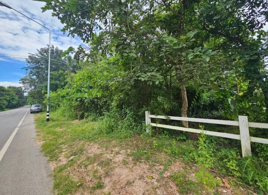 ขายที่ดิน อำเภอกันทรวิชัย มหาสารคาม ติดถนนหลักราดยาง