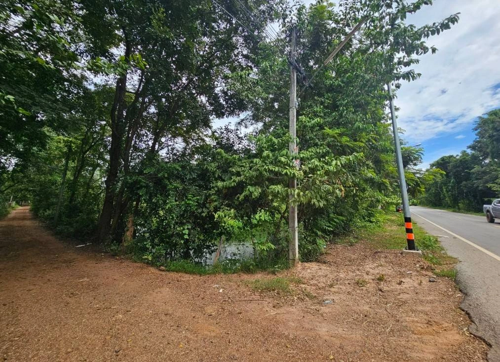 ขายที่ดิน อำเภอกันทรวิชัย มหาสารคาม ติดถนนหลักราดยาง