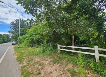 ขายที่ดิน อำเภอกันทรวิชัย มหาสารคาม ติดถนนหลักราดยาง