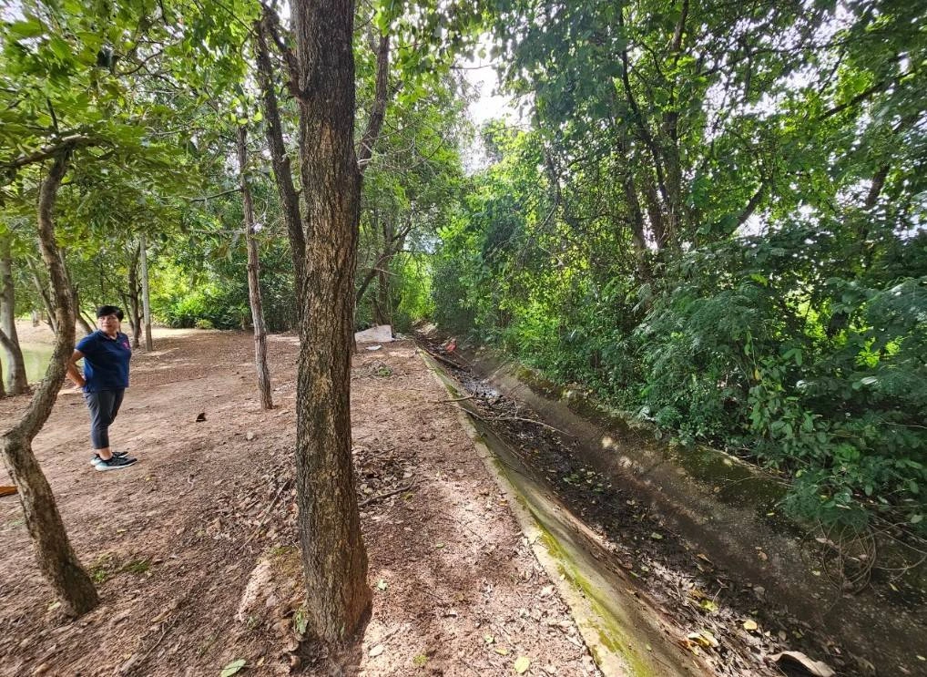 ขายที่ดิน 2ไร่ 2งาน 42ตารางวา ใกล้มหาวิทยาลัยมหาสารคาม