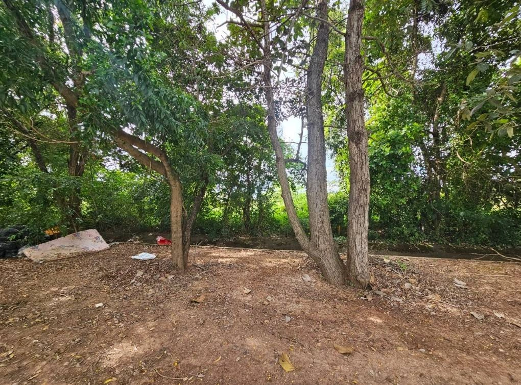 ขายที่ดิน 2ไร่ 2งาน 42ตารางวา ใกล้มหาวิทยาลัยมหาสารคาม