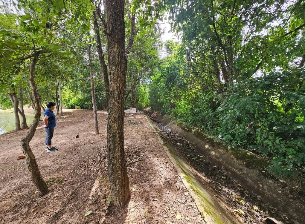 ขายที่ดิน 2ไร่ 2งาน 42ตารางวา ใกล้มหาวิทยาลัยมหาสารคาม