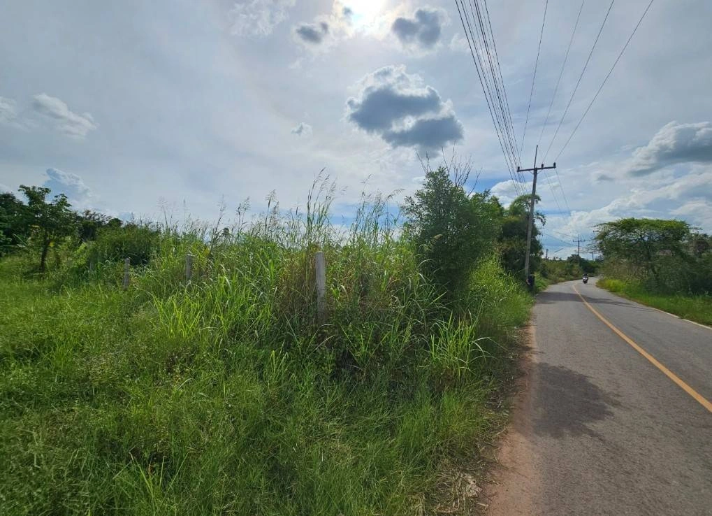 ขายที่ดิน 2ไร่ 2งาน 42ตารางวา ใกล้มหาวิทยาลัยมหาสารคาม