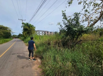 ขายที่ดิน 2ไร่ 2งาน 42ตารางวา ใกล้มหาวิทยาลัยมหาสารคาม