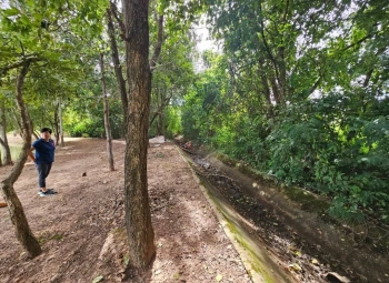 ขายที่ดิน 2ไร่ 2งาน 42ตารางวา ใกล้มหาวิทยาลัยมหาสารคาม